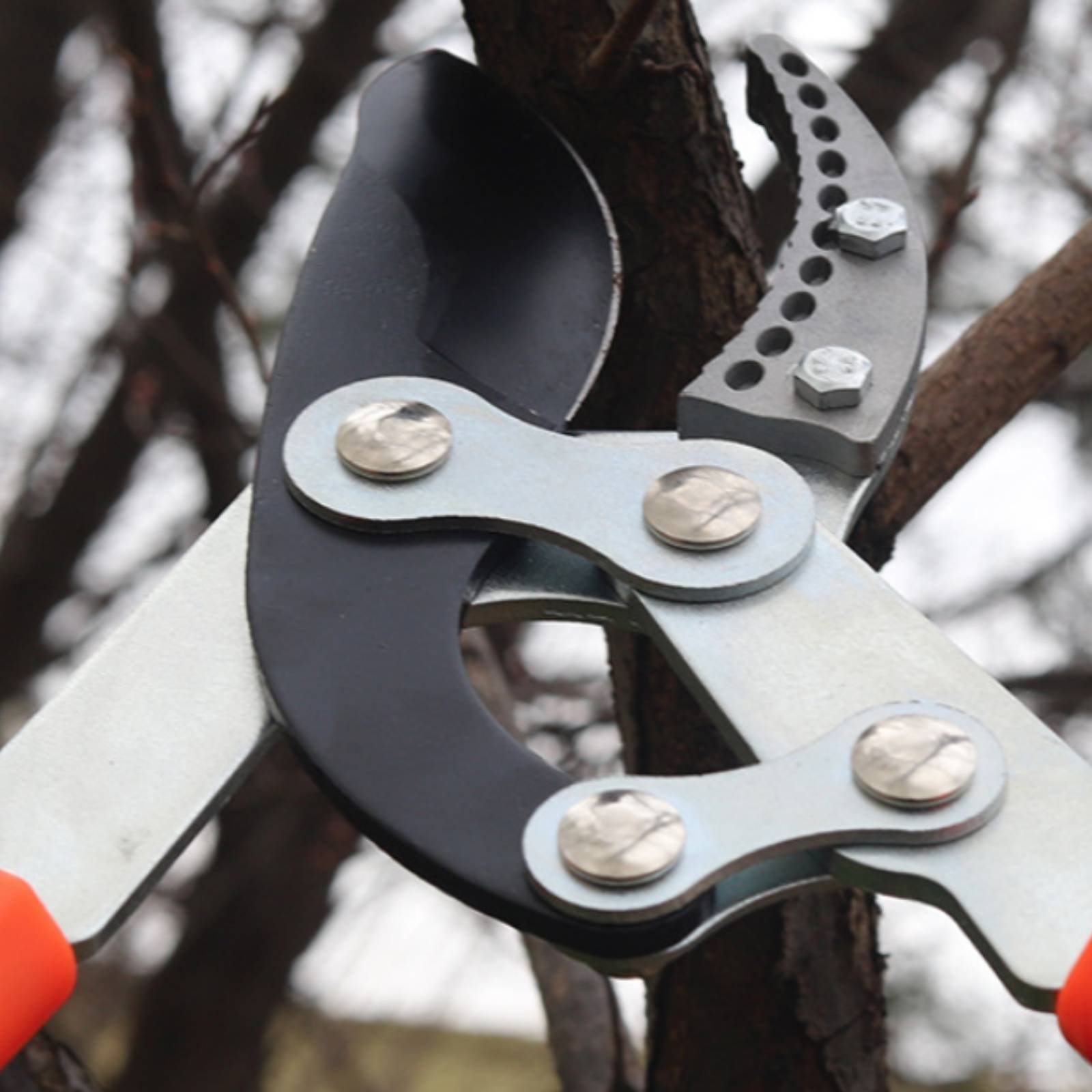 Gardening Tool - Teleskopowe nożyce do gałęzi z ostrym