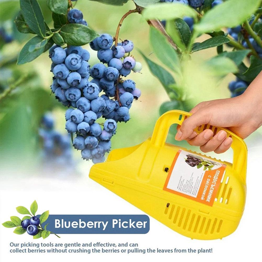 Łatwy w użyciu chwytak do jagó – Gardening Tools You Must Have recenzja i cena