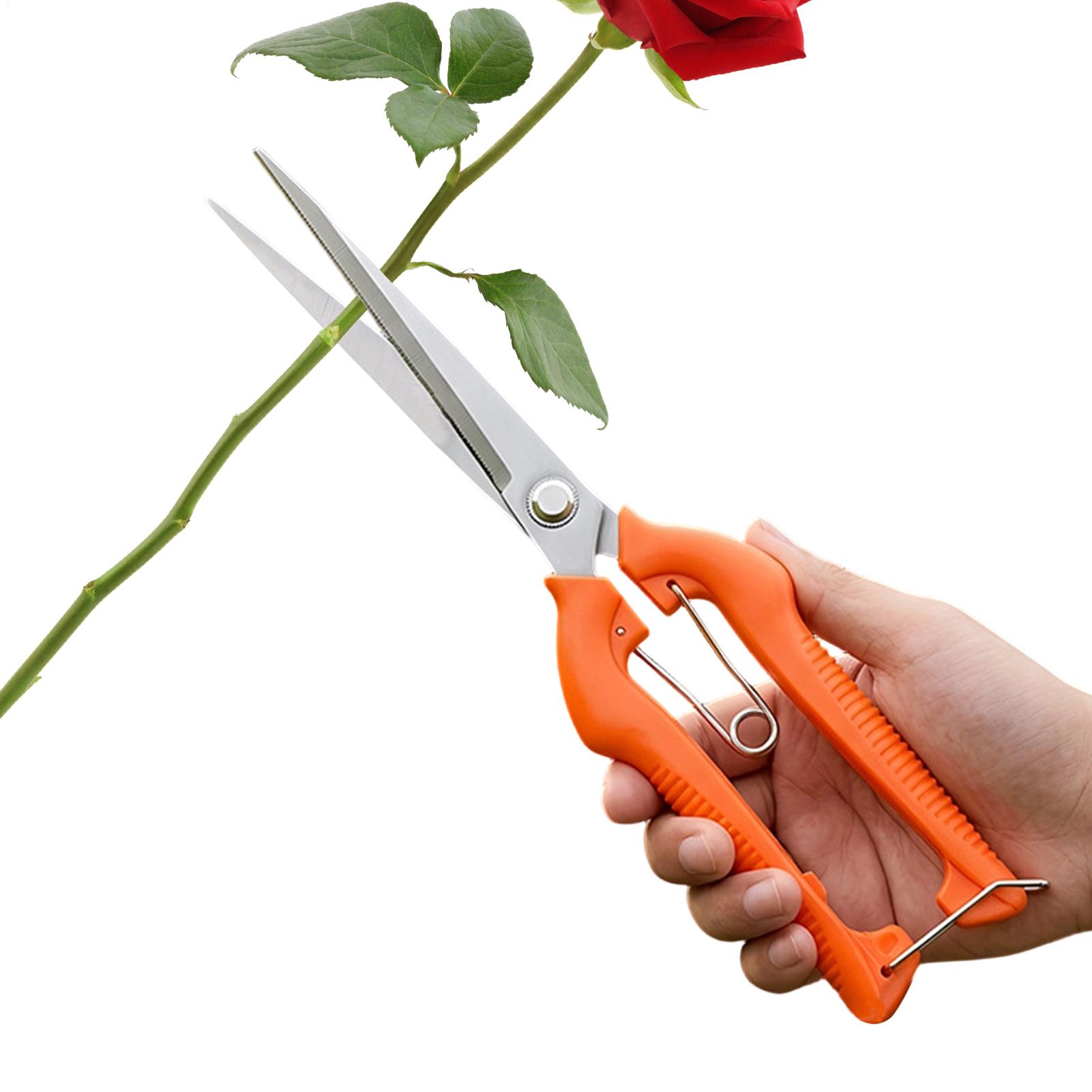 Sekator do przycinania, nożyce – Gardening Tools Women recenzja i cena