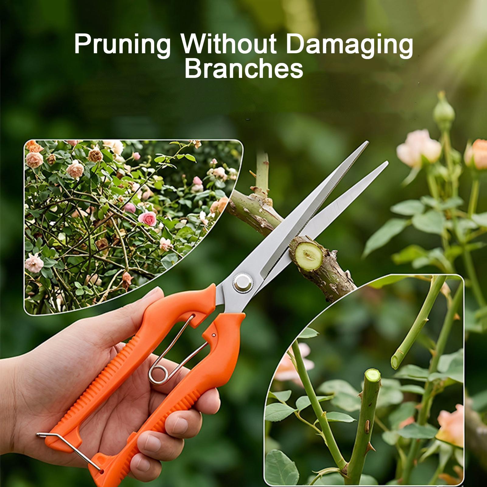 Sekator do przycinania, nożyce – Gardening Tools Women recenzja i cena