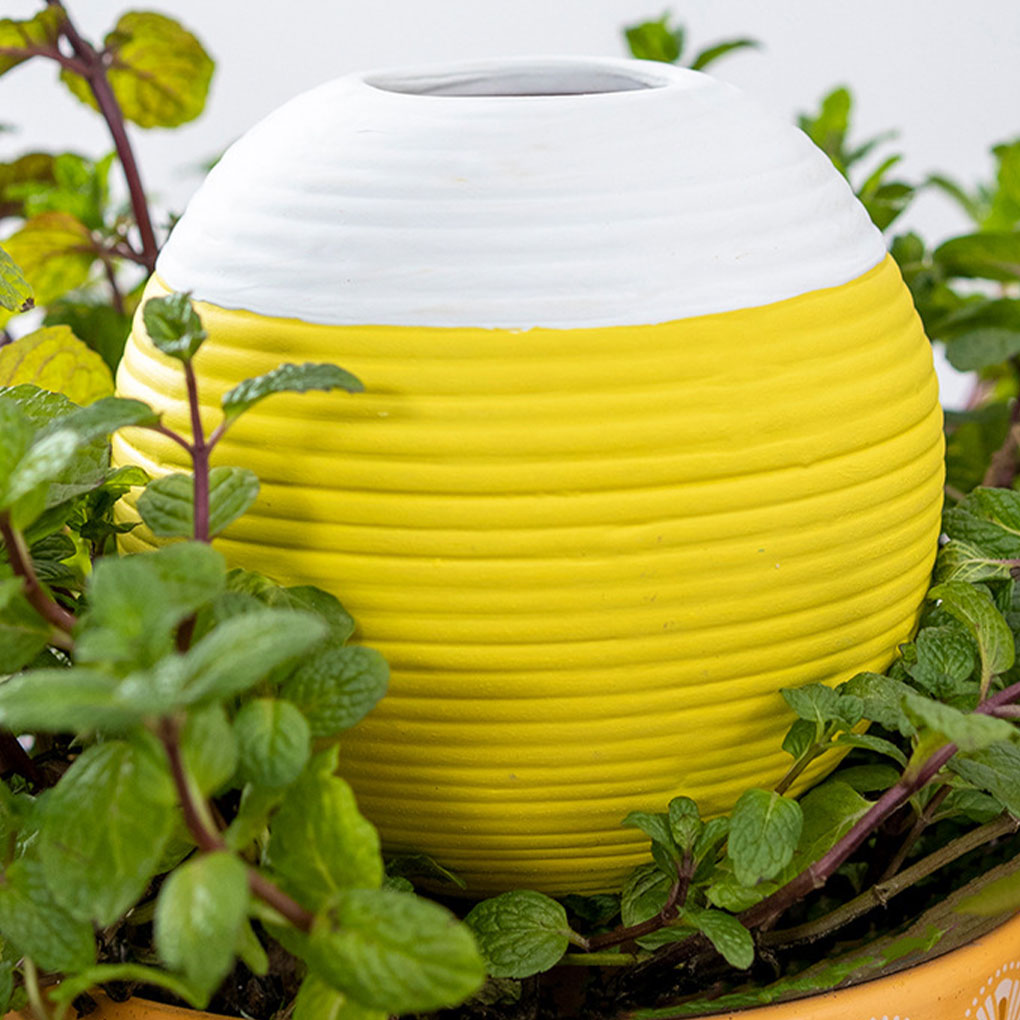 Automatyczny nawadniacz do roś – Gardening Tools You Must Have recenzja i cena
