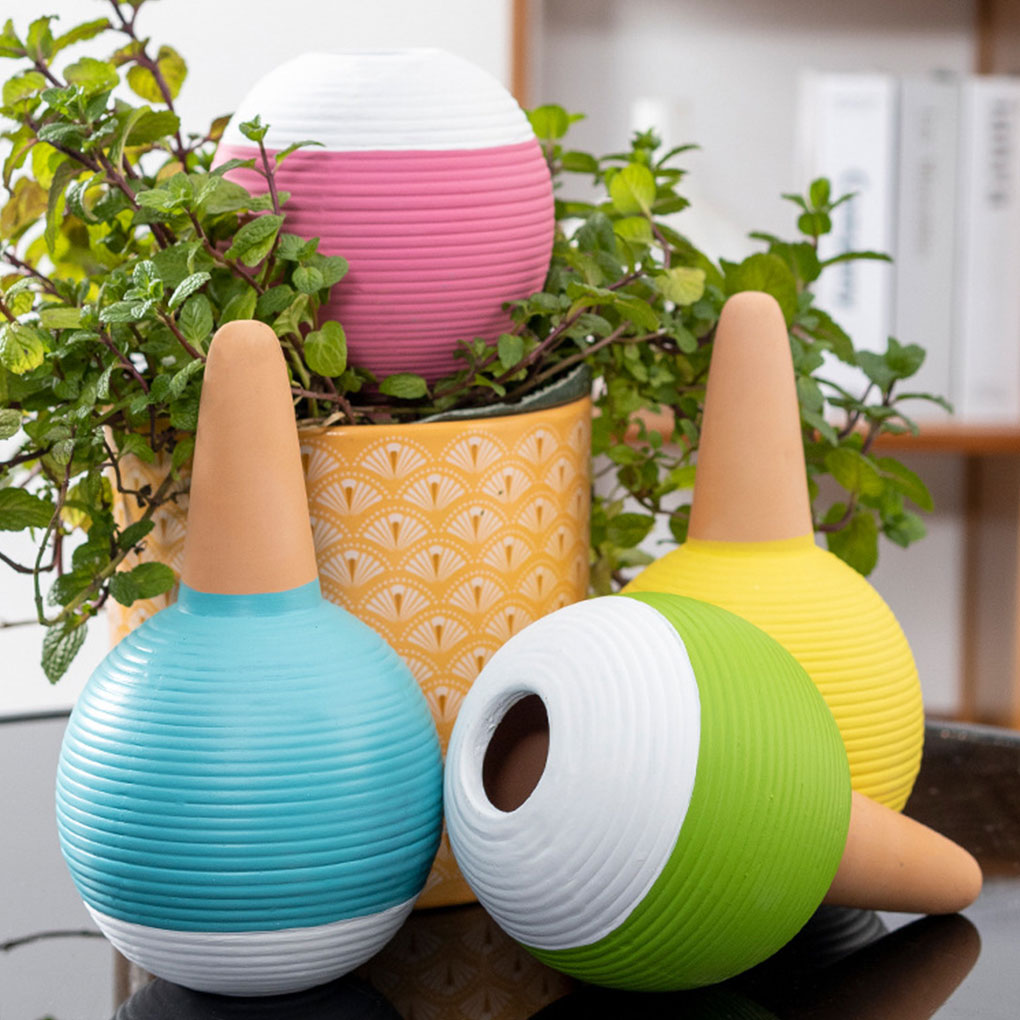 Automatyczny nawadniacz do roś – Gardening Tools You Must Have recenzja i cena