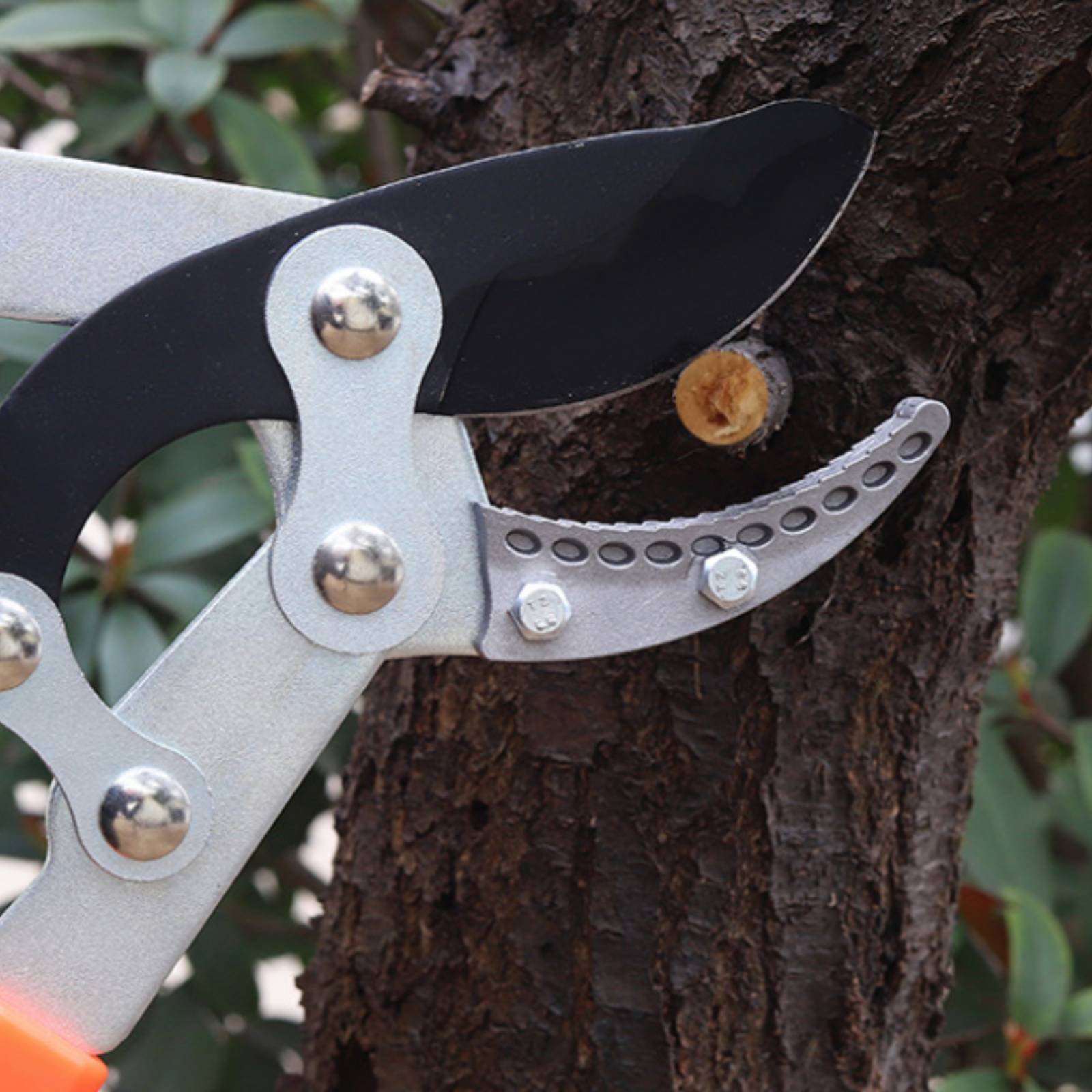 Teleskopowe nożyce do gałęzi z – Gardening Tool recenzja i cena