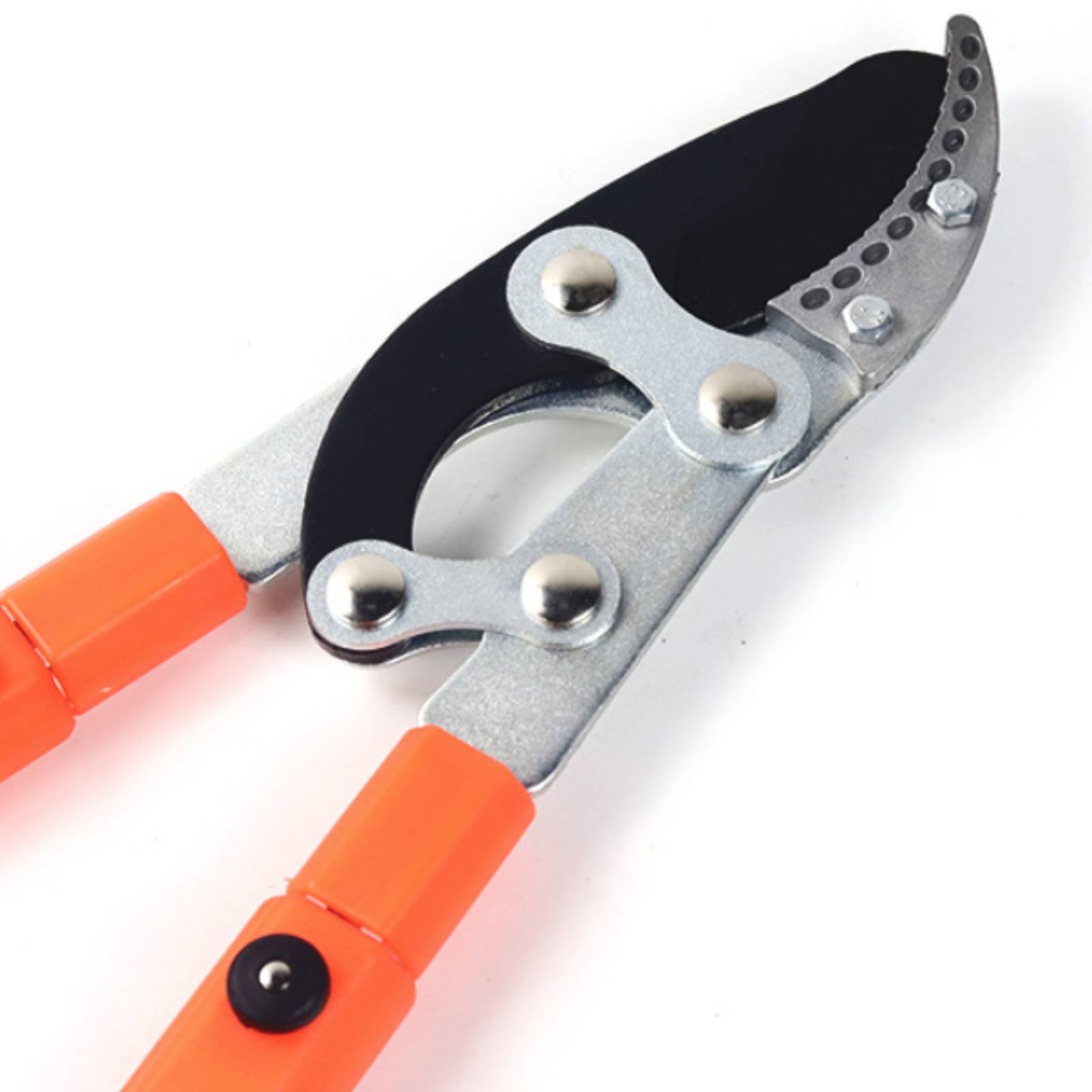 Teleskopowe nożyce do gałęzi z – Gardening Tool recenzja i cena